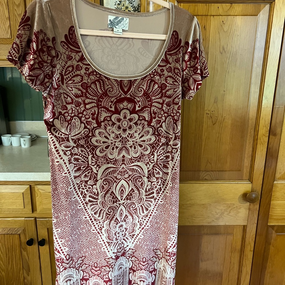 Velvet Patterned Dress